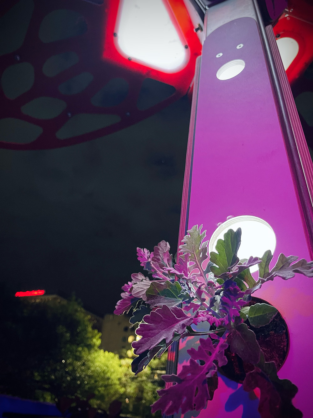 VivaCity LeMonde Studio